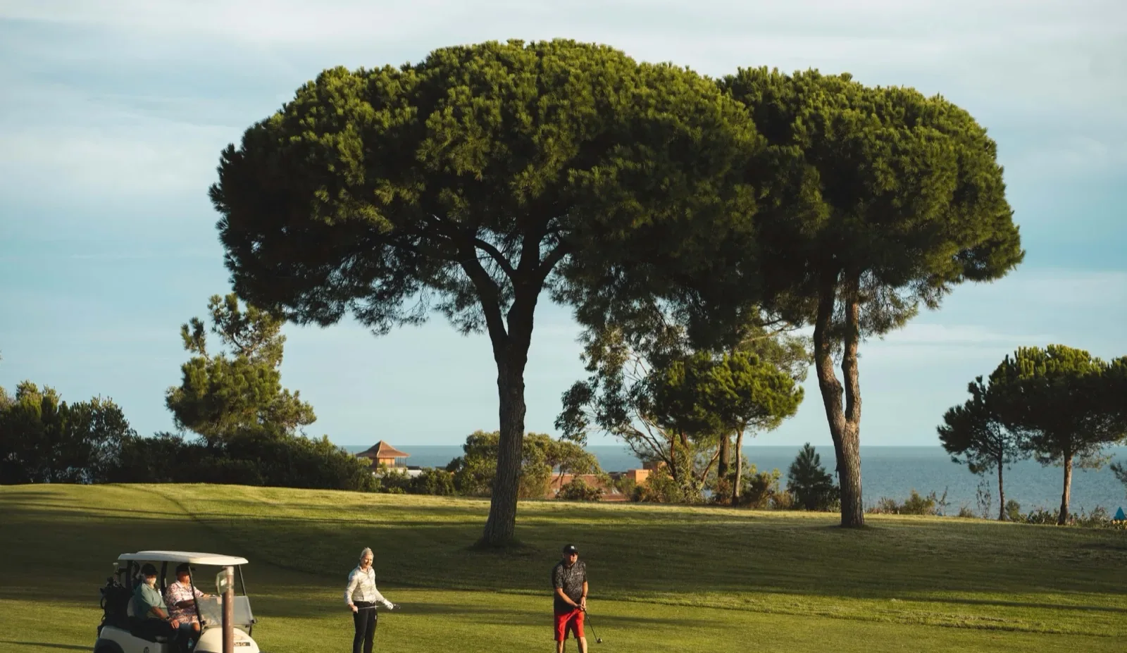 Golfcart unter Pinie mit Meerblick, Costa Islantilla Golf Club
